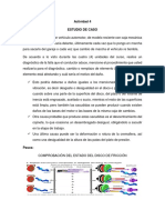 Actividad 4