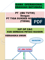 Kerjasama Operasional Penambangan Batubara PT (Ibu Tutik) Dengan PT Tiga Sukses Nusantara (Tisna) Iup Op C&C