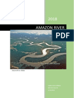 Amazon River (Shah)