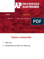 Unidad 06 - Redo Log - 2019 PDF