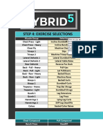 Hybrid 5 - Intermediate Version V1.1