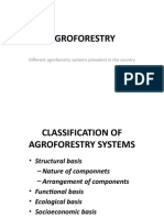 Agroforestry: Different Agroforestry Systems Prevalent in The Country