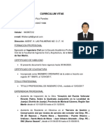 Curriculum Vitae PDF