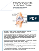 Parte 1 Partes Blandas