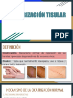 Cicatrización Tisular