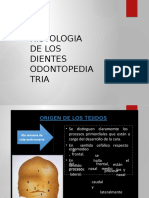 Histologia de Los Dientes Odontopediatria