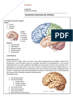 Roteiro - Anatomia