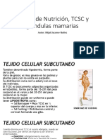 Estado de Nutricion, TCSC y Glandulas Mamarias