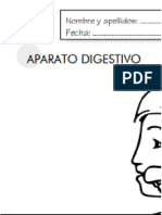 Aparato Digestivo