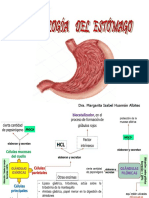 Fisiología Gastrica Miha