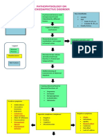 Pathophysiology On Schizoaffective Disorder: Echopraxia