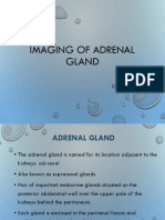 Imaging of Adrenals