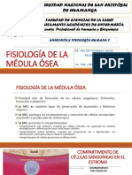 Fisiología de La Médula Ósea 2019