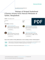 Reproductive Biology of Striped Snakehead (Channa Striata) From Natural Wetlands of Sylhet, Bangladesh