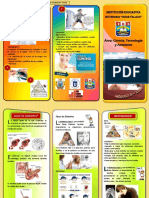 Triptico-Diabetes PDF