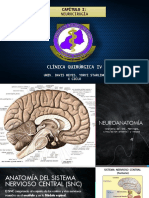 NEUROANATOMÍA