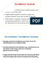 Circulatory System 2019