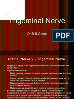 Trigeminal Nerve