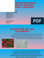 Evolución de Las Bacterias