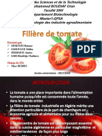 Fili Re de Tomate GR04