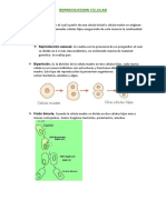 División Celular