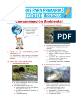 Contaminación Ambiental para Cuarto de Primaria