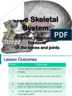 Grade 7 - Science - Joints