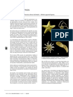 44a Equinodermos PDF