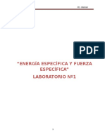 Laboratorio N 01 Energia y Fuerza Especifica