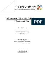 CAPULE A Case Study of Water Pollution On Laguna de Bay