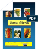 Vitaminas y Minerales PDF