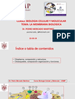 Citosol Clase PDF