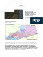 Site Analysis