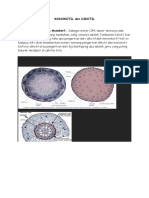 Monokotil Dan Dikotil