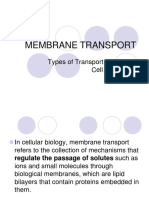 Lesson 6 Cell Transport