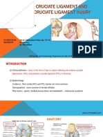 Presentation ACL and PCL