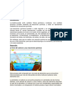 Ciclo Del Carbono y Sus Reacciones Quimicas