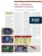 Causas Diagnostico y Tratamiento de Las Ulceras Corneales