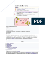 Ciclo Reproductivo de Los Virus