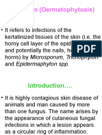 Ringworm (Dermatophytosis)