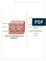 Anatomia y Fisiologia de La Piel