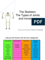 Joints Movement Powerpoint PDF