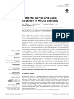 Prefrontal Cortex and Social Cognition in Mouse and Man