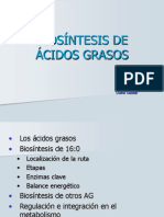 Síntesis de Ácidos Grasos