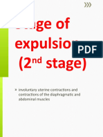 Stage of Expulsion (2 Stage)