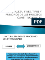 Tema 6 Disposiciones Generales de Los Procesos Constitucionales