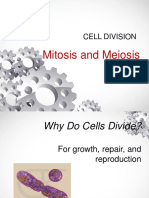 Mitosis and Meiosis: Cell Division