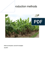 Banana Production Methods: A Comparative Study