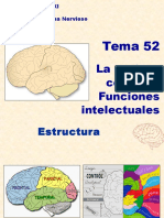 La Corteza Cerebral. Funciones Intelectuales