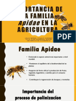 Importancia de La Familia Apidae en La Agricultura